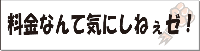 料金なんて気にしねぇゼ！